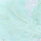 Eleganza Craft Marabout Feathers Mixed sizes 3inch-8inch 8g bag Lt. Blue No.25 - Accessories